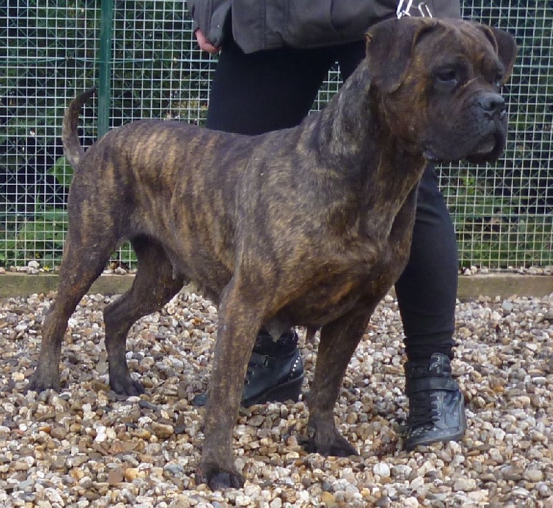 Fiesta du royaume des p'tits biloux