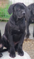 LUTHER
